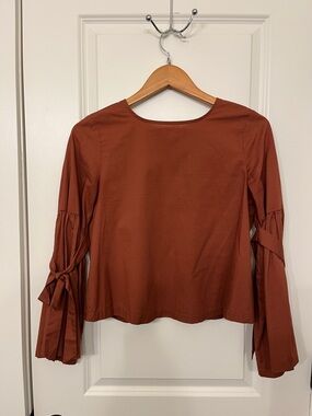Tie-Sleeve Rust Long-Sleeve Blouse